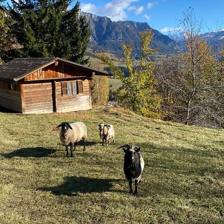Encia'S Home Dolomiti Castello-Molina di Fiemme Extérieur photo
